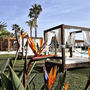 Garten eines Hotels in der Algarve mit Liegebetten und exotischen Pflanzen.