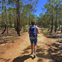 Person wandert mit Rucksack auf Weg durch Pinienwald an der Algarve in Portugal.