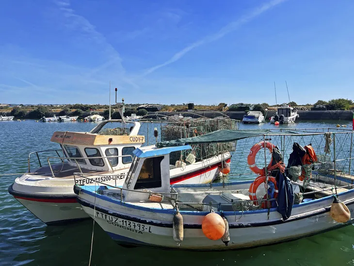 Fischerboote im Hafen von Fuseta, Algarve, Portugal, bei sonnigem Wetter.