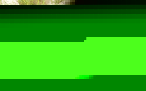 Eine Gruppe junger Leute entspannt am Strand.