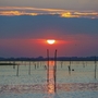 Sonnenuntergang über dem Wasser mit Pfählen auf der Isola di Albarella.