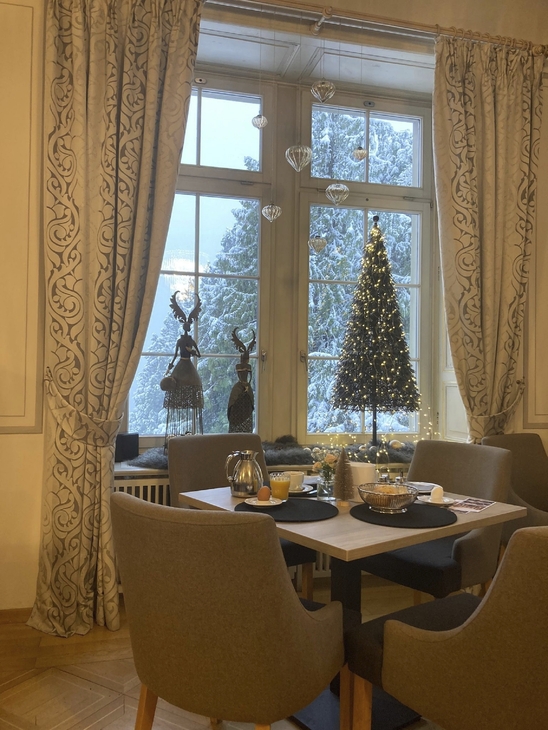 Gemütlicher Raum mit Winterdeko und Blick auf verschneiten Garten.