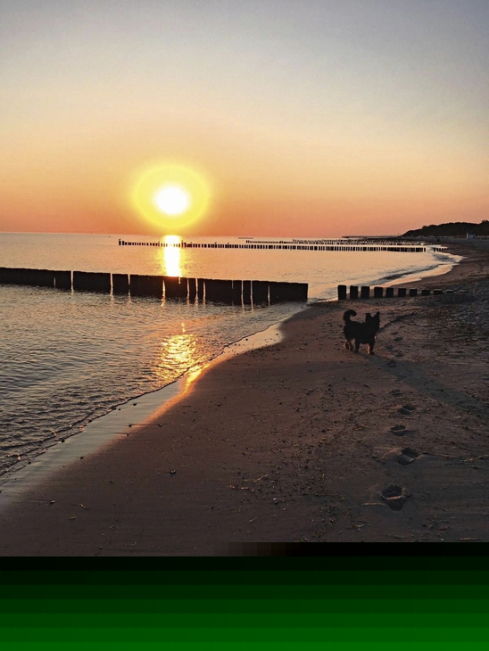 Sonnenuntergang am Strand von Kühlungsborn mit Buhnen im Wasser.