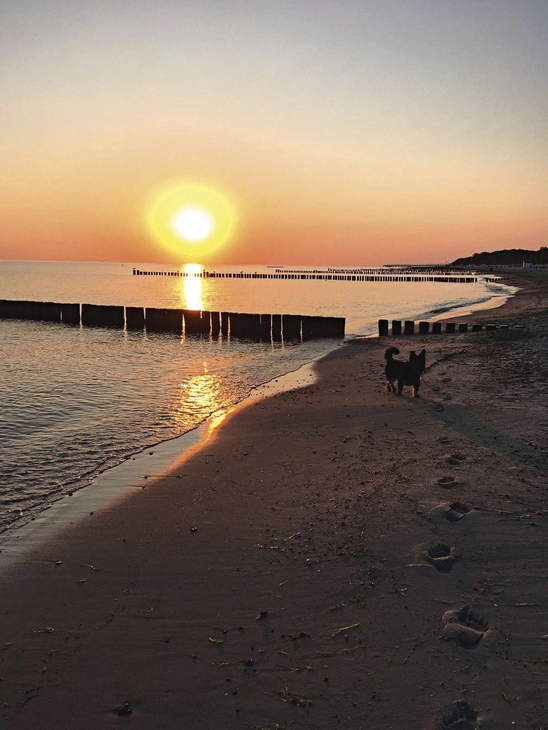 Sonnenuntergang am Strand von Kühlungsborn mit Buhnen im Wasser.