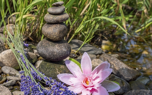 Stein-Stapel, pinke Blume, Lavendel, Natur, QiGong-Harmonie