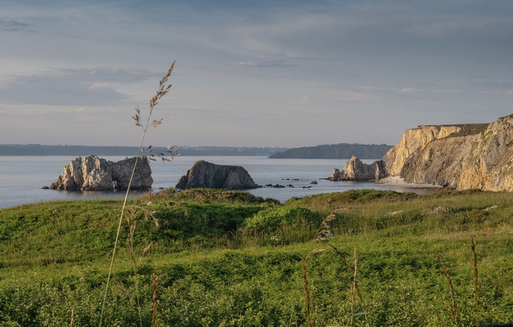Küste mit grüner Vegetation und Felsen im Meer bei Morgat, Bretagne.