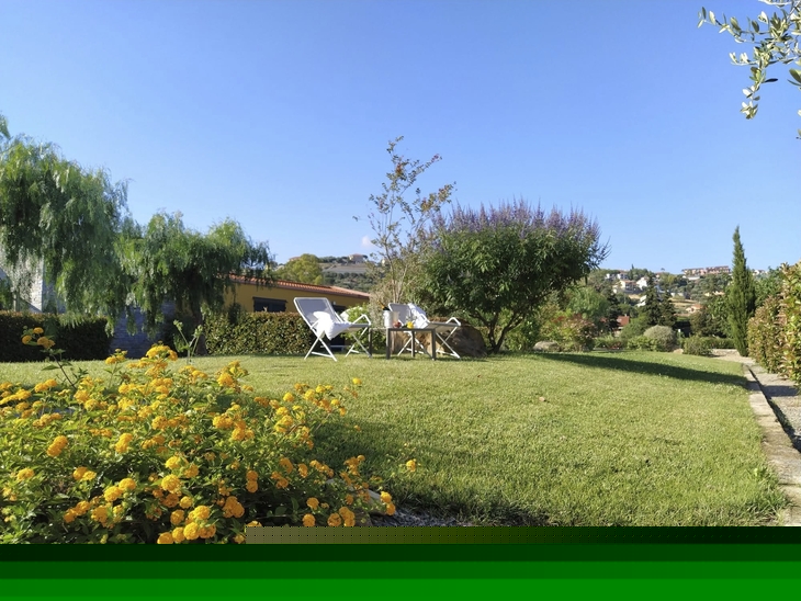 Grüne Wiese mit Blumen, zwei weißen Stühlen und Gartentisch bei sonnigem Wetter.