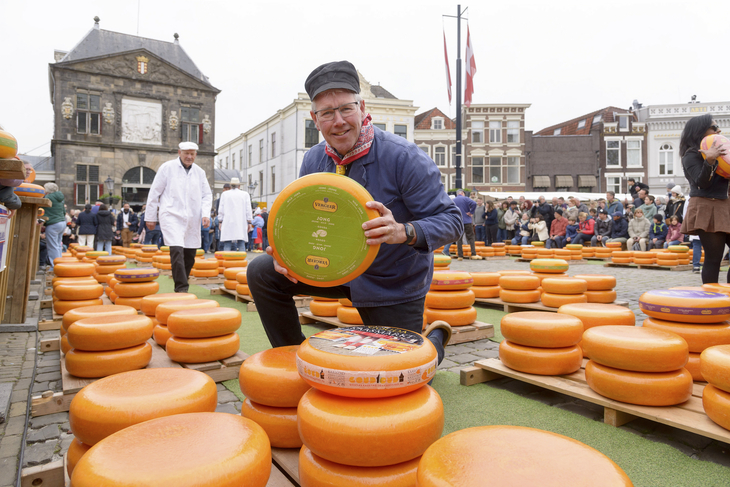 Verkäufer präsentiert Käselaib auf dem Käsemarkt von Gouda.