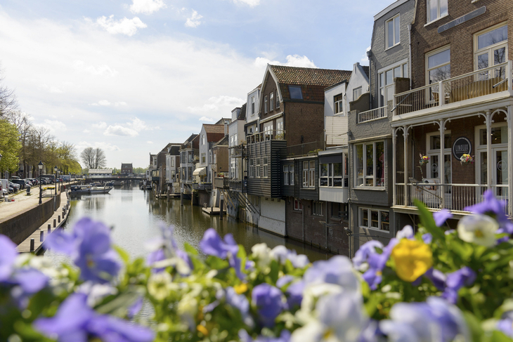 Blumen im Vordergrund, malerische Häuser und Kanal in Südholland bei sonnigem Wetter.