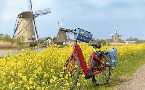 Rotes Fahrrad vor Windmühlen und blühenden gelben Blumen in Kinderdijk, Südholland.