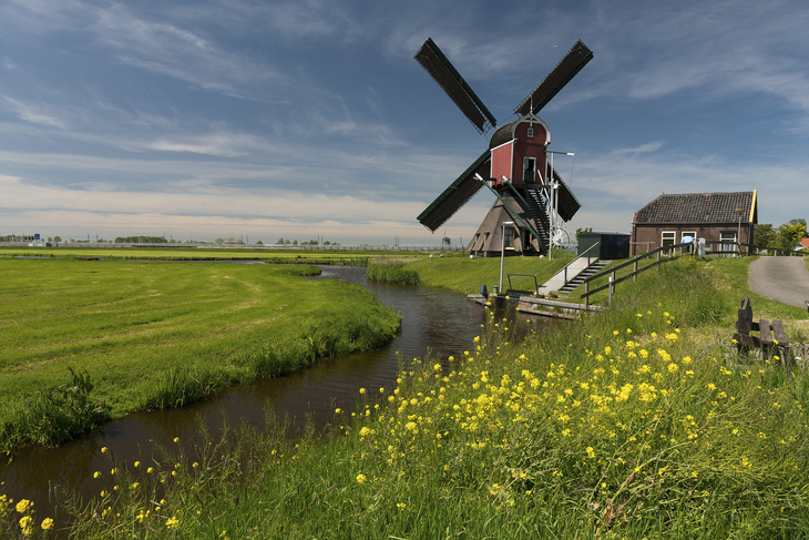 Windmühle in grüner Landschaft mit blauem Himmel in Südholland