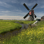Windmühle in grüner Landschaft mit blauem Himmel in Südholland