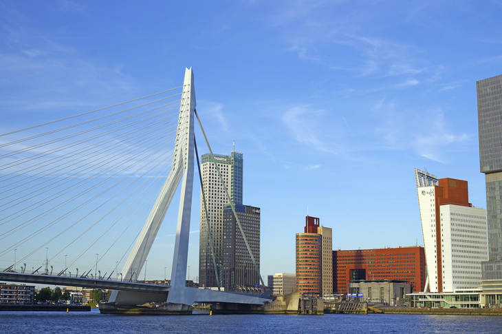 Erasmusbrücke in Rotterdam vor moderner Skyline bei klarem Himmel.