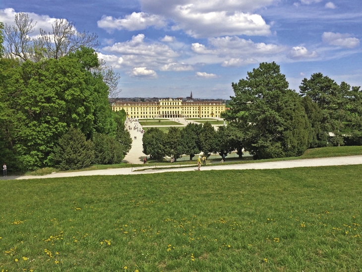 Blick auf das Schloss Schönbrunn in Wien mit Bäumen und Wiese im Vordergrund.
