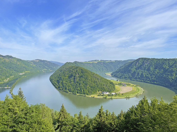 Blick auf die Schlögener Schlinge der Donau, umgeben von grünen Hügeln und bewaldeten Ufern.
