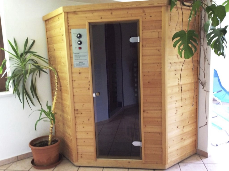 Holzsauna in Innenraum mit Topfpflanzen neben der Sauna.