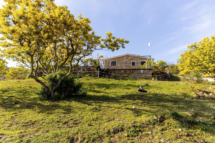 Steinhaus und blühende Bäume auf grasbewachsenem Hügel bei sonnigem Wetter.