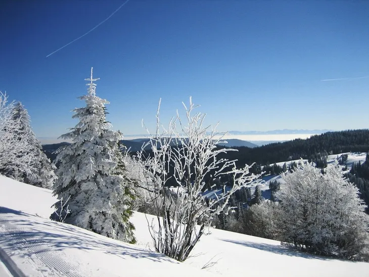 Schneebedeckte Landschaft mit Bäumen und blauem Himmel im Winter.