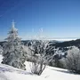Schneebedeckte Landschaft mit Bäumen und blauem Himmel im Winter.