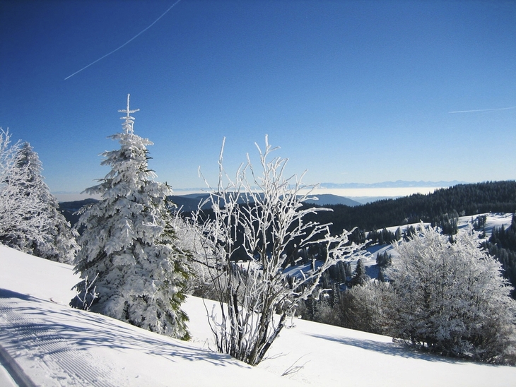 Schneebedeckte Landschaft mit Bäumen und blauem Himmel im Winter.