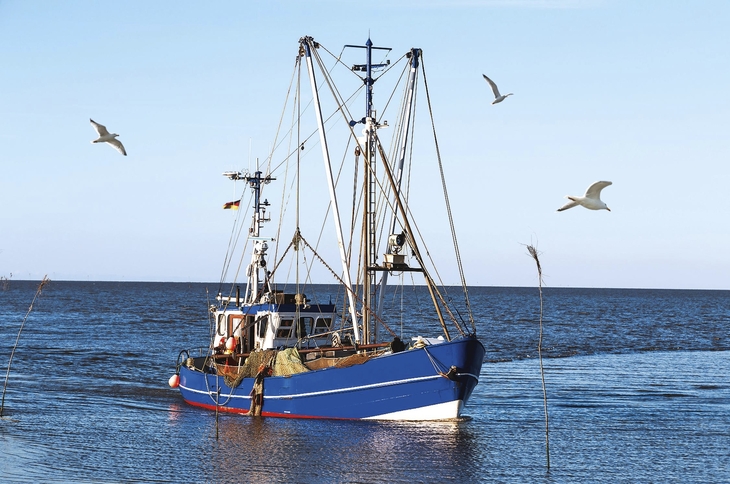 Blaues Fischerboot mit Möwen auf dem Wasser bei klarem Himmel.