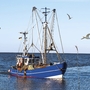 Blaues Fischerboot mit Möwen auf dem Wasser bei klarem Himmel.