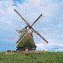 Ostfriesische Windmühle auf einer Wiese vor blauem Himmel.