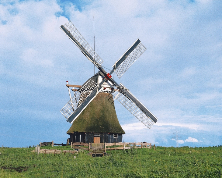 Ostfriesische Windmühle auf einer Wiese vor blauem Himmel.