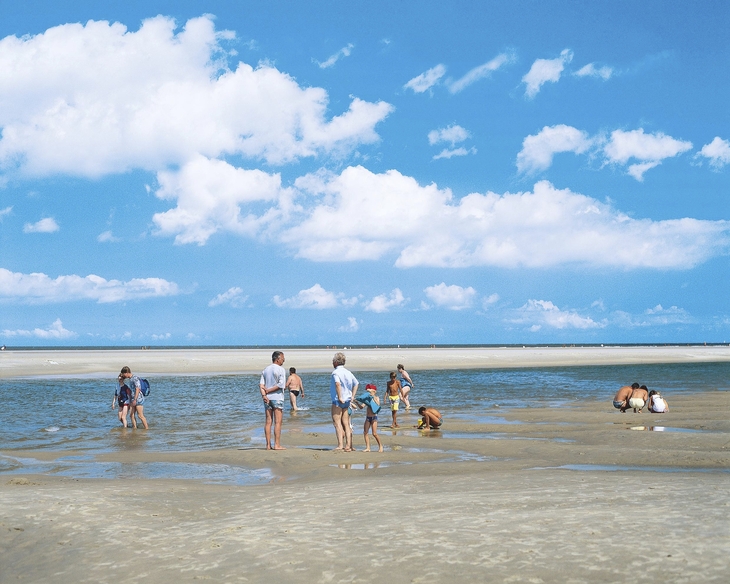 Menschen wandern bei Ebbe im Watt, blauer Himmel mit Wolken.