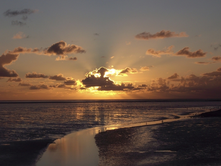 Sonnenuntergang mit Wolken und Lichtstrahlen über dem Wattenmeer mit breitem Priel.