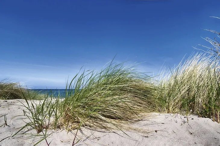 Dünenlandschaft mit Gras und blauem Himmel an der Ostsee.