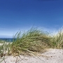 Dünenlandschaft mit Gras und blauem Himmel an der Ostsee.