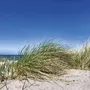 Dünenlandschaft mit Gras und blauem Himmel an der Ostsee.