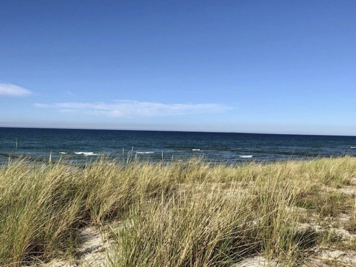 Blick auf Ostseestrand mit Dünen und blauem Himmel bei Prerow.