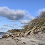 Strand mit Dünen und Bäumen am Weststrand in Prerow unter blauem Himmel.