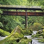 Holzbrücke über bewaldetem Fluss mit moosbedeckten Felsen.