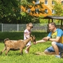 Vater und Tochter füttern eine Ziege im Streichelzoo des Ahorn Seehotels Templin.