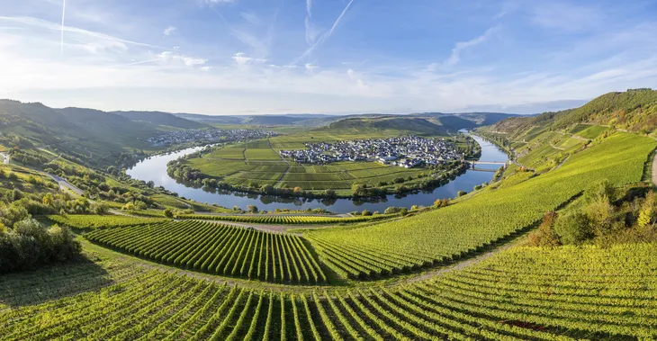 Blick auf das Moseltal mit Flussschleife und Weinbergen bei Leiwen.