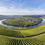 Blick auf das Moseltal mit Flussschleife und Weinbergen bei Leiwen.