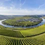 Blick auf das Moseltal mit Flussschleife und Weinbergen bei Leiwen.