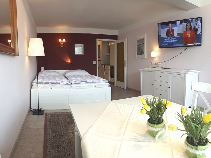 Helles Apartmentzimmer mit Doppelbett, Esstisch, TV und Dekoration.