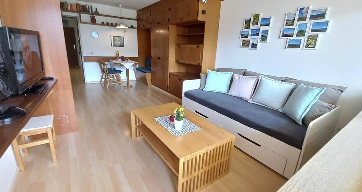 Wohnzimmer eines Apartments mit Sofa, Couchtisch und Essbereich im Hintergrund.
