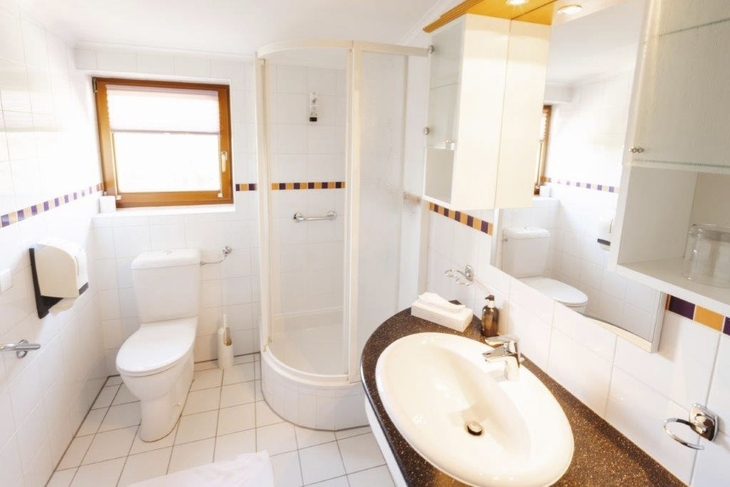 Helles Badezimmer mit Dusche, Waschbecken und WC im Hotel Liebmann, Laßnitzhöhe.