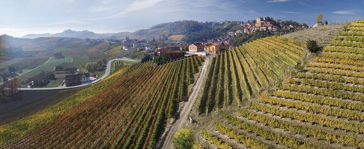 Blick auf Weinberge und Hügel mit Dorf im Hintergrund bei Mongalletto, Castellinaldo.