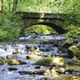 Ein Bach fließt unter einer alten Steinbrücke in einem lichtdurchfluteten, grünen Wald.