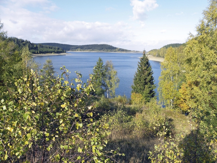 Blick auf einen See im Harz, umgeben von Wäldern unter blauem Himmel.
