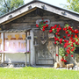 Kleine Holzhütte mit Blumendekoration und Herzsymbolen, sonniger Tag.
