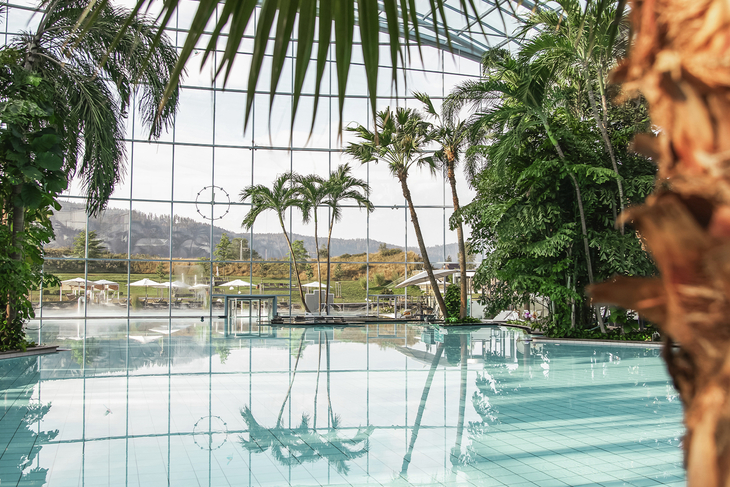 Palmen umgeben einen Swimmingpool in einer tropischen Therme mit Glasdach.