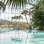 Palmen umgeben einen Swimmingpool in einer tropischen Therme mit Glasdach.