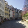 Straßenszene in Lindau mit bunten Häusern und blühendem Baum.